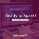 ΘΕΣΗ ΕΡΓΑΣΙΑΣ: Project Manager